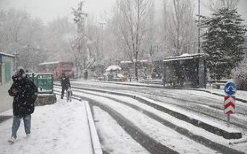 تصاویر دلنشین از اولین برف زمستانی در تهران