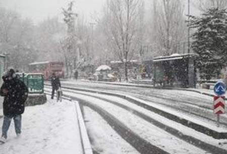 تصاویر دلنشین از اولین برف زمستانی در تهران