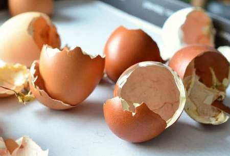 چرا نباید پوست تخم‌مرغ را دور ریخت؟