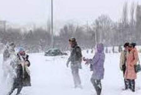 ویدئویی از بارش برف سنگین در شهر مشهد