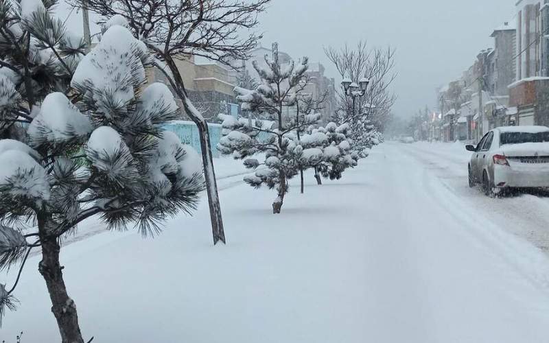 تصاویری از بارش برف در شهرک قائم تهران