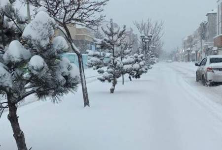 تصاویری از بارش برف در شهرک قائم تهران