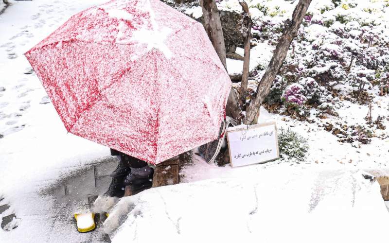 خبر خوش از تداوم بارش برف و باران در کشور