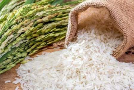 افزایش قیمت انواع برنج در روزهای اخیر