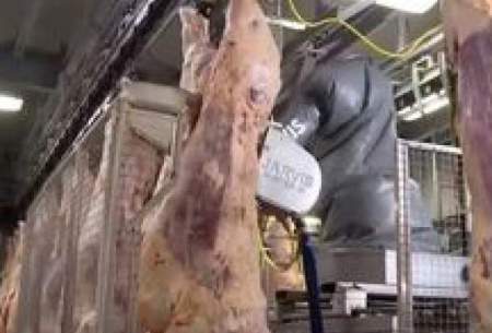 فرآیند برش گوشت گاوهای بزرگ در یک کارخانه