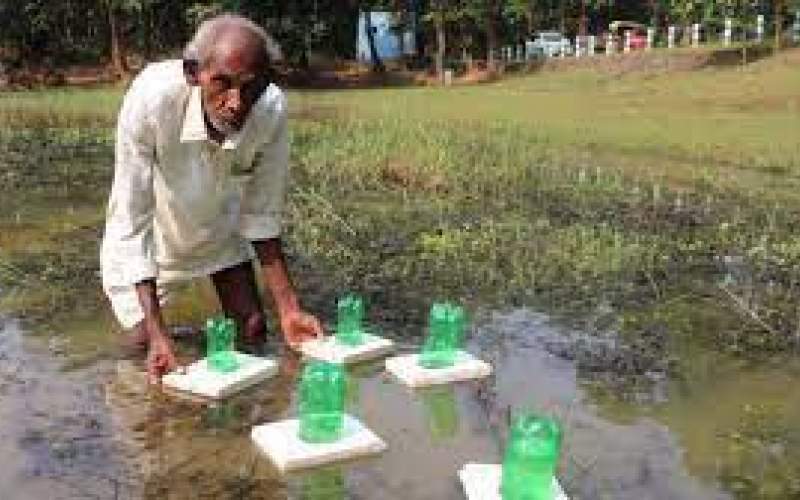 روش هوشمندانه پیرمرد هندی در ماهیگیری