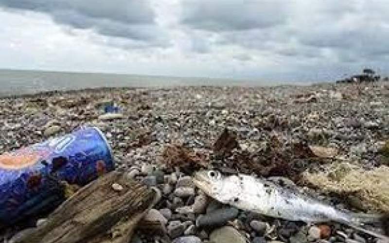 وضعیت اسفناک مدیریت زباله در جزیره‌ی هرمز