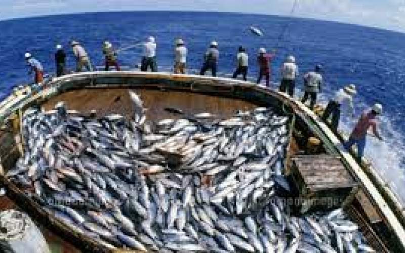 صید باورنکردنی 10 تن ماهی تن با قلاب