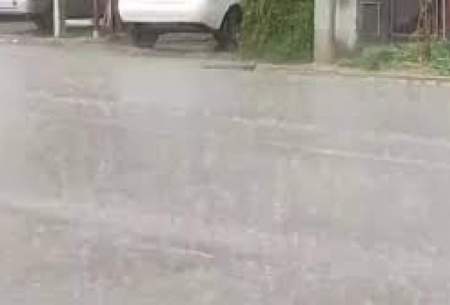باران سیل‌آسا، مردم این شهر را غافلگیر کرد
