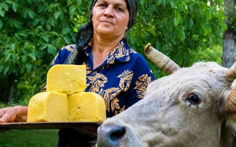 فرآیند درست کردن پنیر محلی به روش روستایی