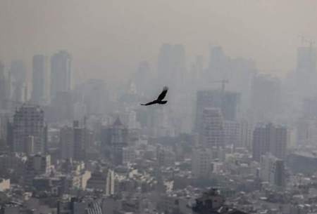 تاثیر نگران‌کننده آلودگی هوا بر سلامت تهرانی‌ها