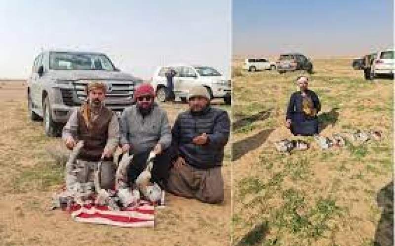 دشت‌های جنوب افغانستان،خلوتگاه شکارچیان قطری