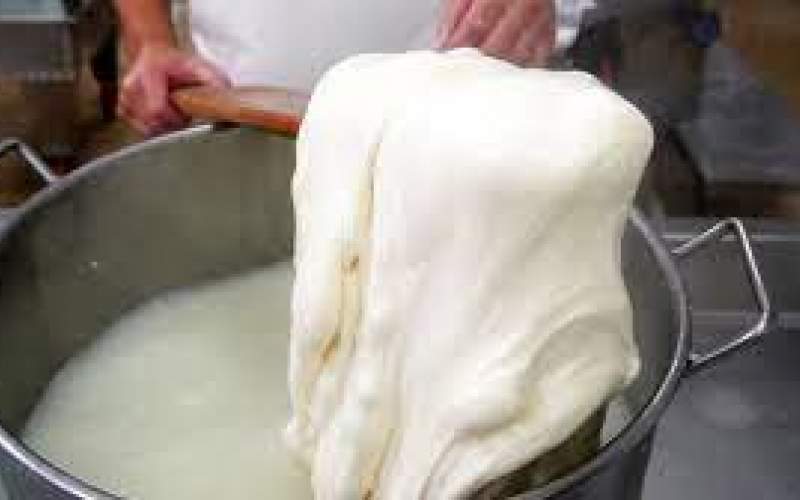 فرآیند درست کردن پنیر سنتی موزارلا در ایتالیا
