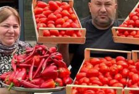 درست کردن رب گوجه فرنگی به سبک روستایی