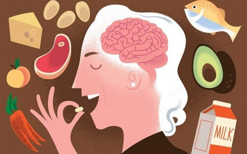 ۵ ماده غذایی مفید برای ارتقای عملکرد مغز