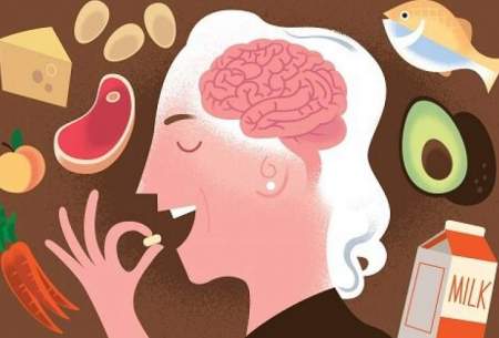 ۵ ماده غذایی مفید برای ارتقای عملکرد مغز
