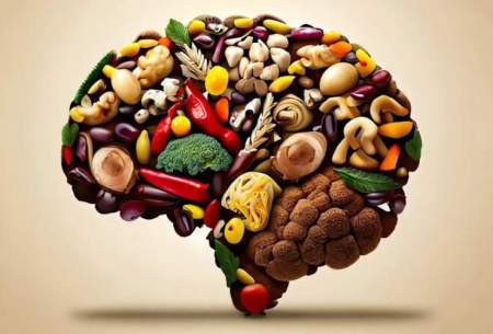 ۸ ماده غذایی مفید برای سلامت مغز