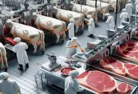 فرآیند بسته بندی گران ترین گوشت گاو جهان