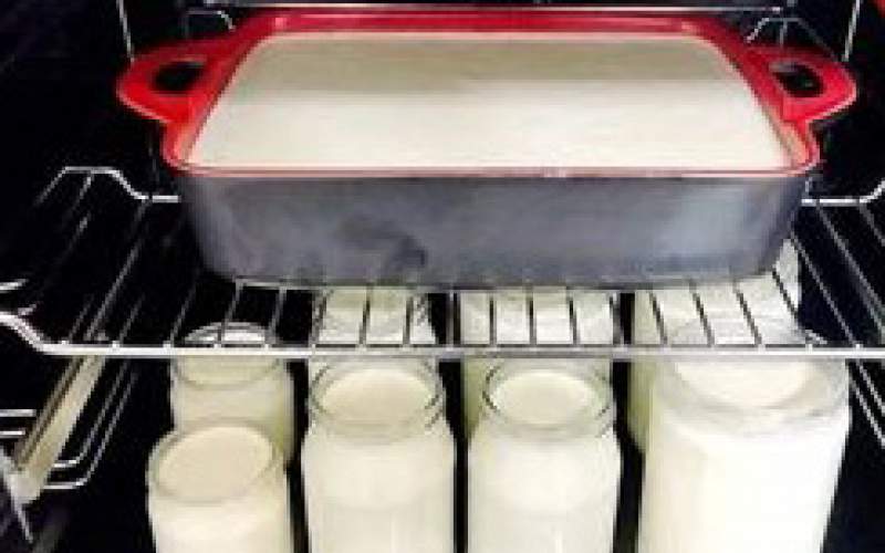 چگونه با 10 لیتر شیر ماست درست کنیم؟