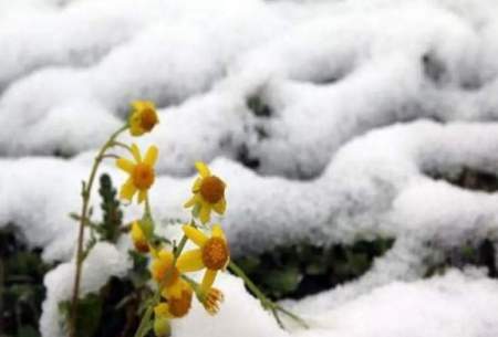 بارش برف در اولین روز بهار مردم را غافلگیر کرد