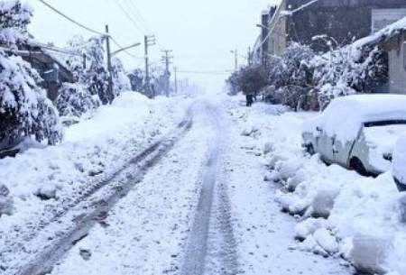 بارش سنگین برف در جاده چالوس /فیلم