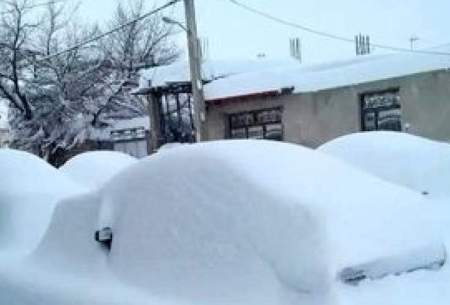 ویدئویی از بارش برف بهاری در تهران