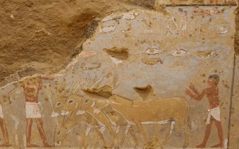  دیوارنگاره‌های باستانی رنگی در مصر