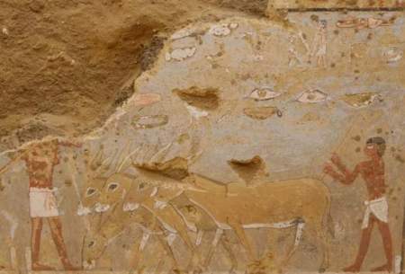  دیوارنگاره‌های باستانی رنگی در مصر