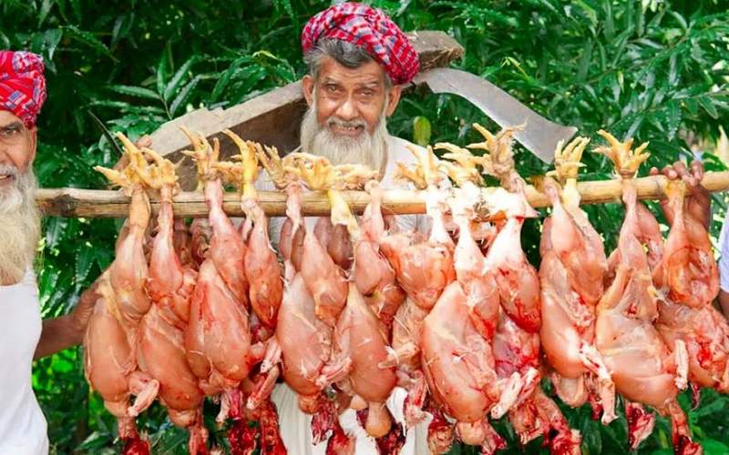 پخت غذا با 12 مرغ توسط سه پدربزرگ 70 ساله