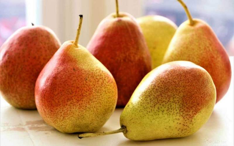خواص این ۵ میوه برای سلامت کبد