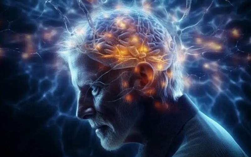۳ عامل آسیب پذیری مغز در برابر زوال عقل