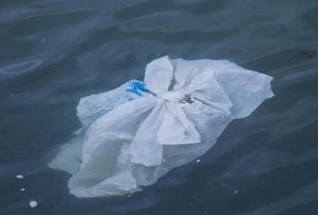۱۱ میلیون تن پلاستیک در اقیانوس‌ها