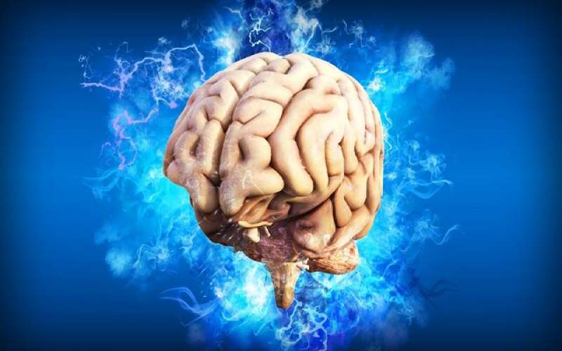 معمای ابتلا به آلزایمر وسکته مغزی حل می‌شود