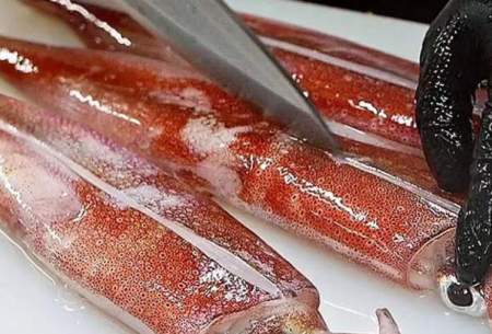 پخت اختاپوس، ماهی مرکب و سرو سوشی