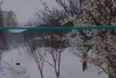 بارش سنگین برف در روستای دیلمان در گیلان