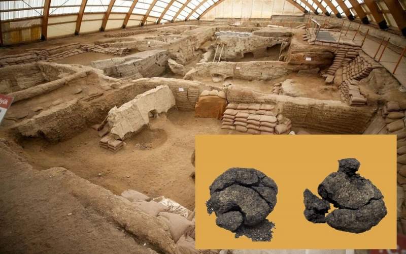 قدیمی‌ترین نان جهان باقدمتی بیش از ۸۰۰۰سال
