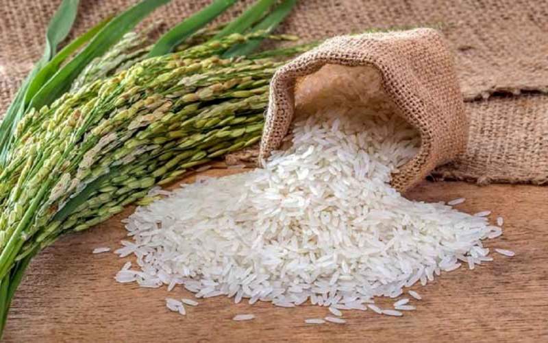 گرانی برنج در پی افزایش نرخ دلار