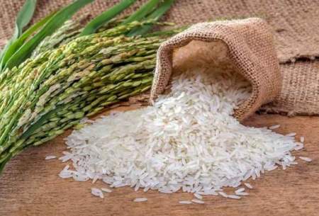 گرانی برنج در پی افزایش نرخ دلار