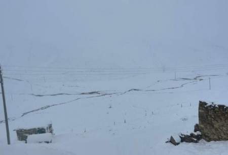 تصاویری از بارش برف بهاری در گوشه و کنار ایران