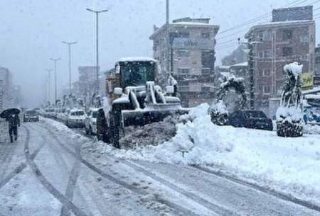 برف بهاری در مازندران همه را غافلگیر کرد