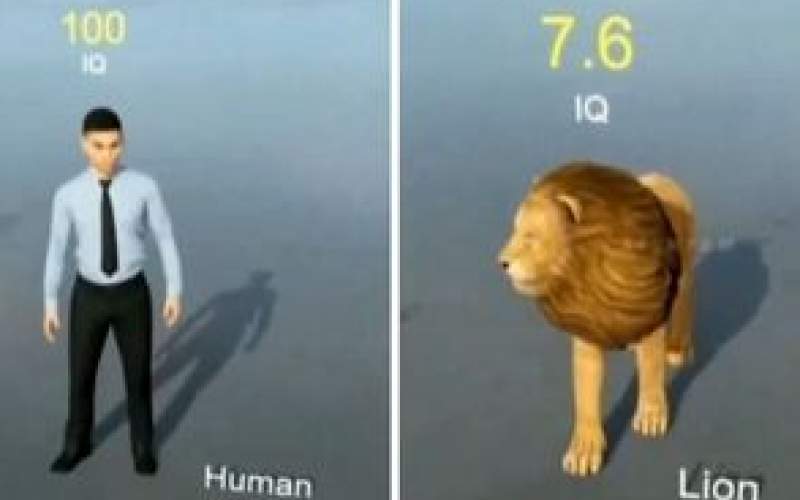 مقایسه دیدنی هوش انواع حیوانات با انسان