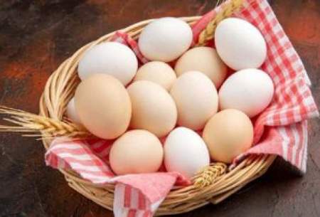 مصرف چند تخم مرغ در هفته ضرر ندارد