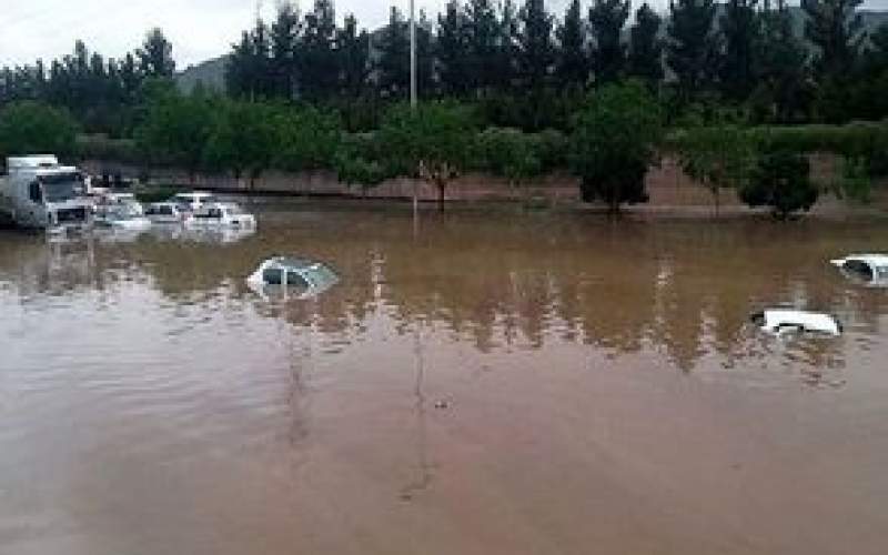 صحنه زیبایی که با همدلی مشهدی‌ها خلق شد