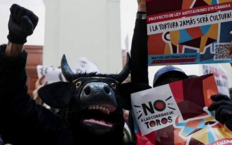 کنگره کلمبیا گاوبازی را ممنوع کرد