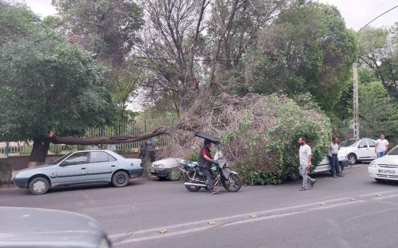 وضعیت عجیب خیابان‌های تبریز بعد از وزش تندباد