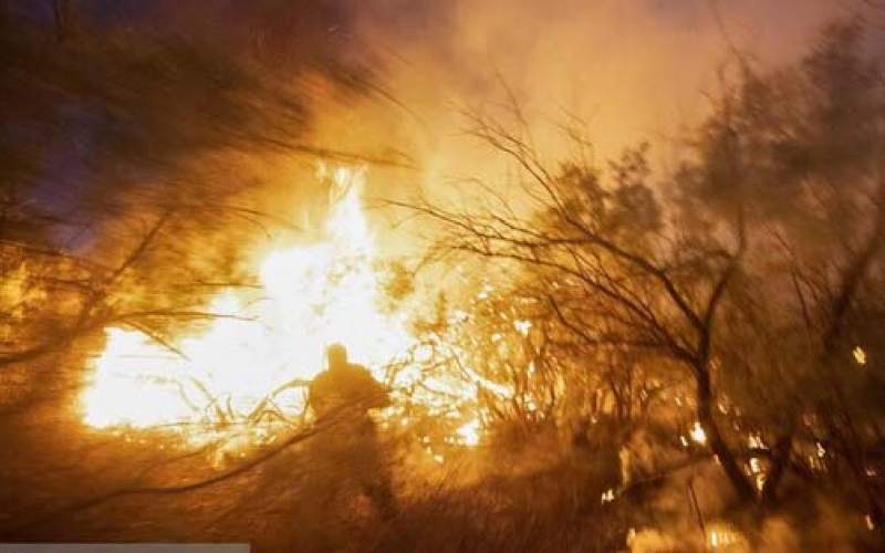 افزایش دو برابری ‌آتش‌سوزی‌ در جنگل‌های کرخه