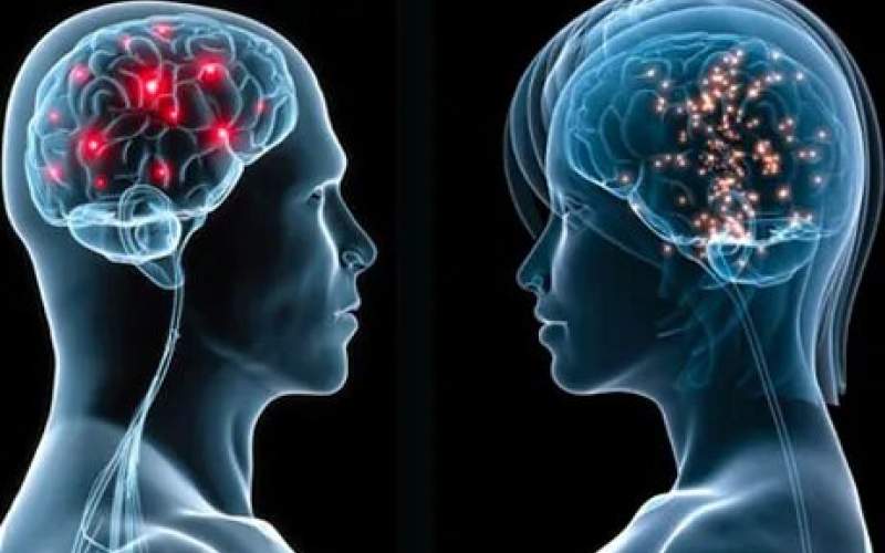 آیا میان مغز زنان و مردان تفاوتی وجود دارد؟