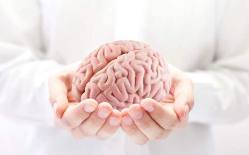 غذای مغز چیست؟