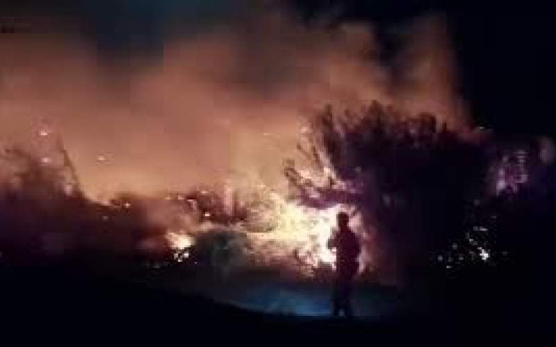 آتش‌سوزی نخلستان‌های روستای پوسار در خاش