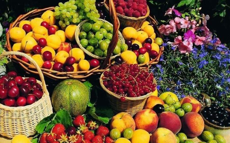رواج نیم کیلو فروشی در بازار میوه و تره بار!